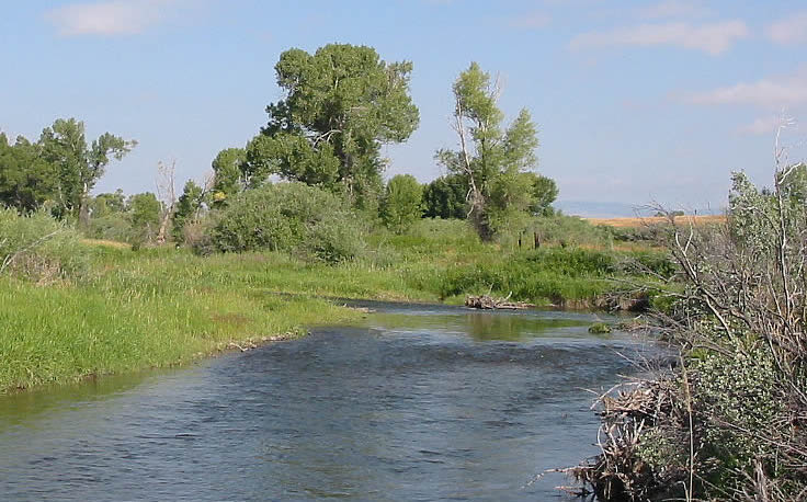 Musselshell River