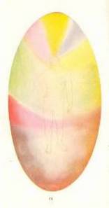 Mental Aura
                        according to Leadbeater